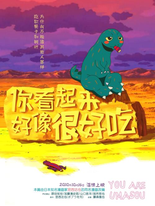 奈梅亨拉德伯德大学成绩单